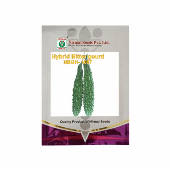NIRMAL HY.BITTER GOURD NBGH-1067 DOLLY (10 GM)