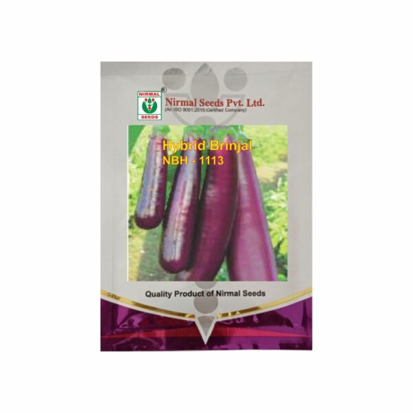 NIRMAL HY.BRINJAL NBH-1113 (10 GM)