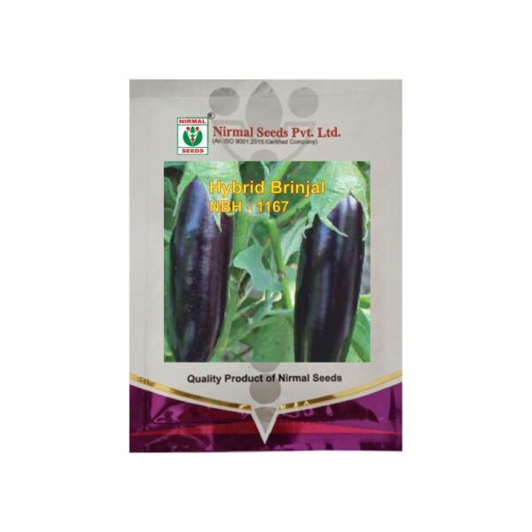 NIRMAL HY.BRINJAL NBH-1167 (10 GM)