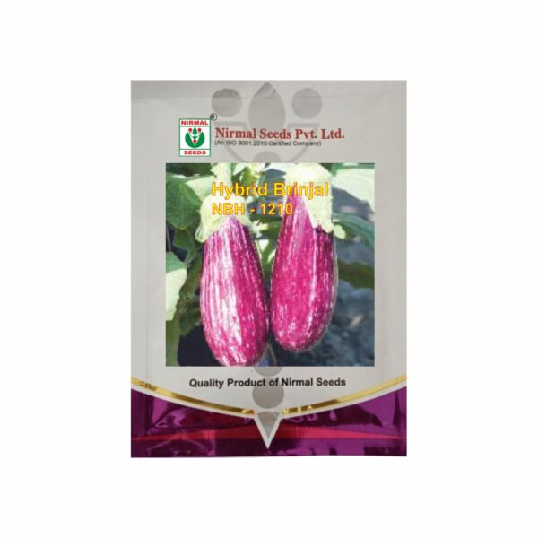 NIRMAL HY.BRINJAL NBH-1210 (10 GM)