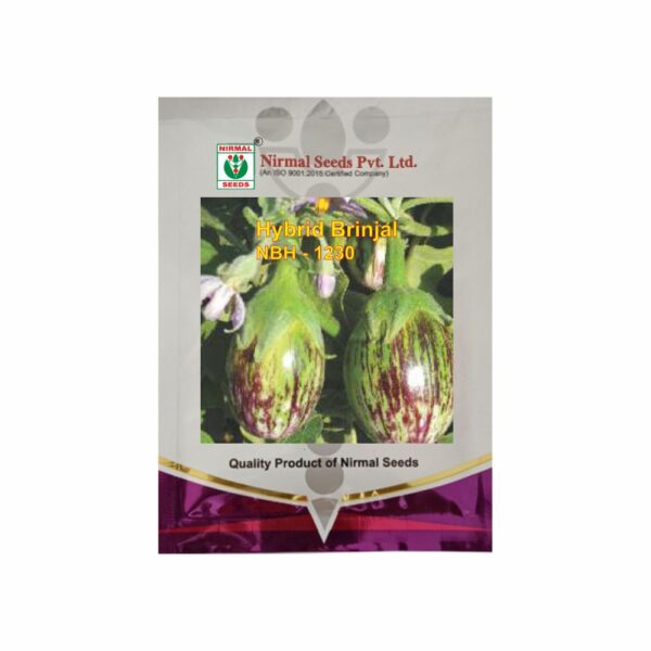 NIRMAL HY.BRINJAL NBH-1230 (10 GM)