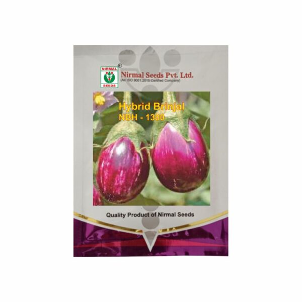 NIRMAL HY.BRINJAL NBH-1300 (10 GM)