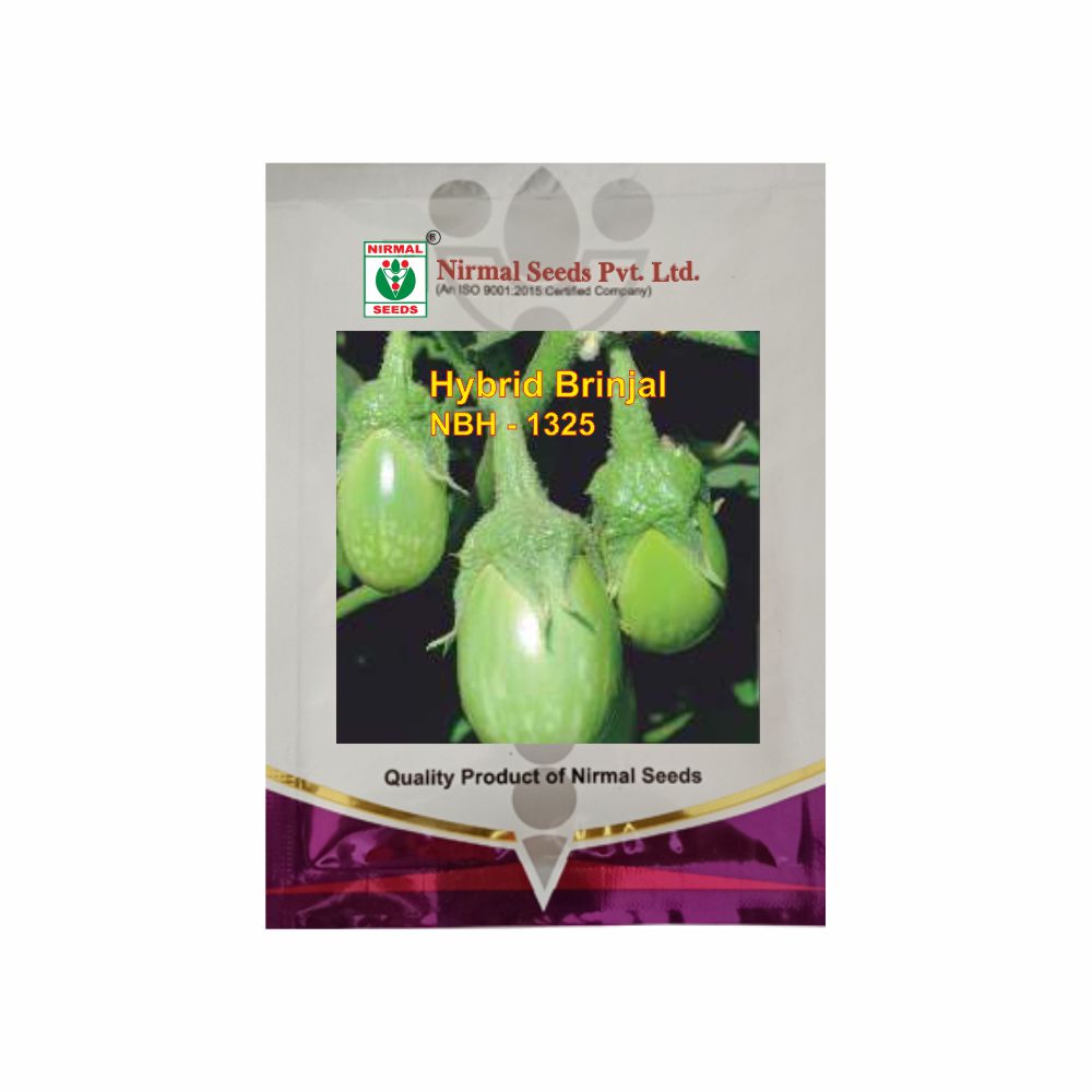 NIRMAL HY.BRINJAL NBH-1325 (10 GM)