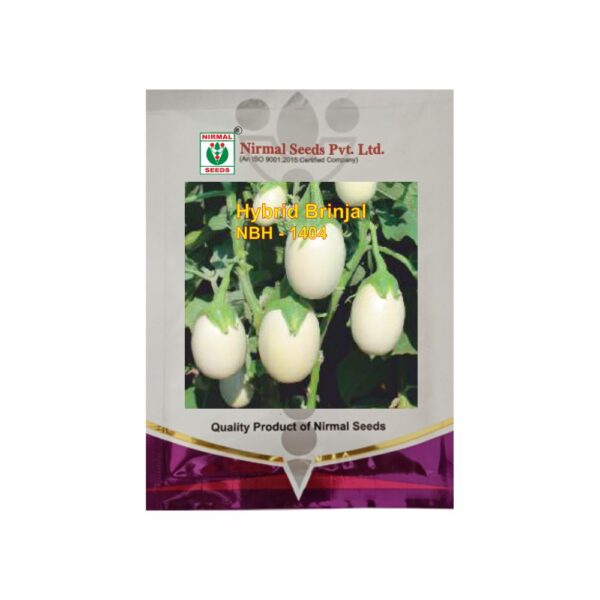 NIRMAL HY.BRINJAL NBH-1404 (10 GM)