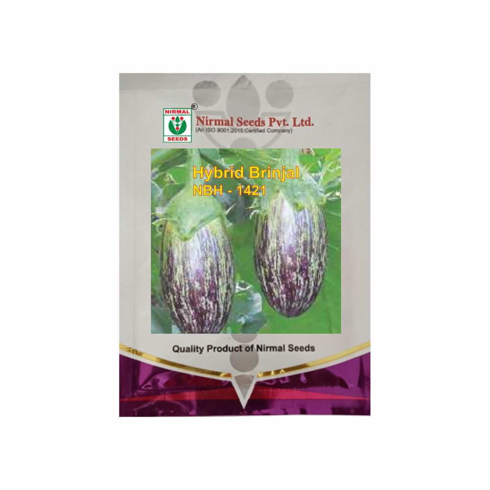 NIRMAL HY.BRINJAL NBH-1421 (10 GM)