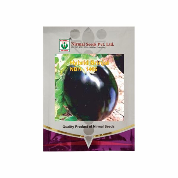 NIRMAL HY.BRINJAL NBH-1465 (10 GM)