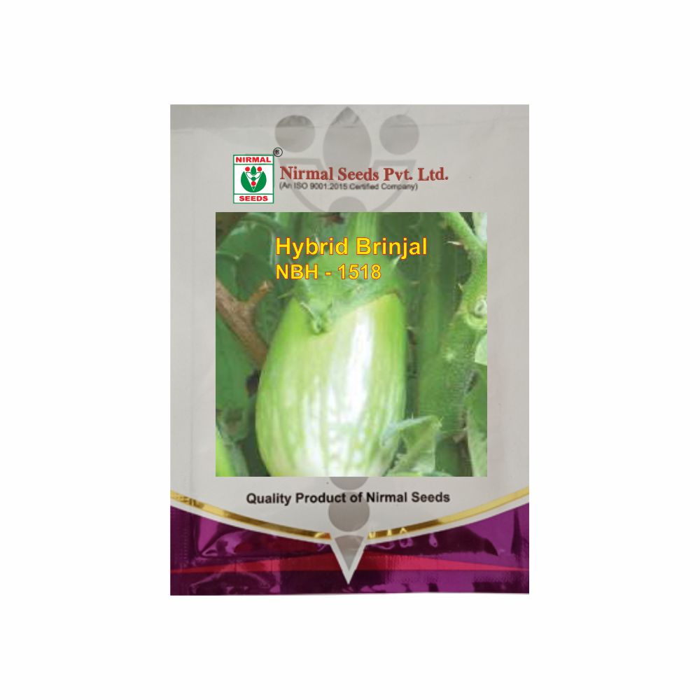 NIRMAL HY.BRINJAL NBH-1518 (10 GM)