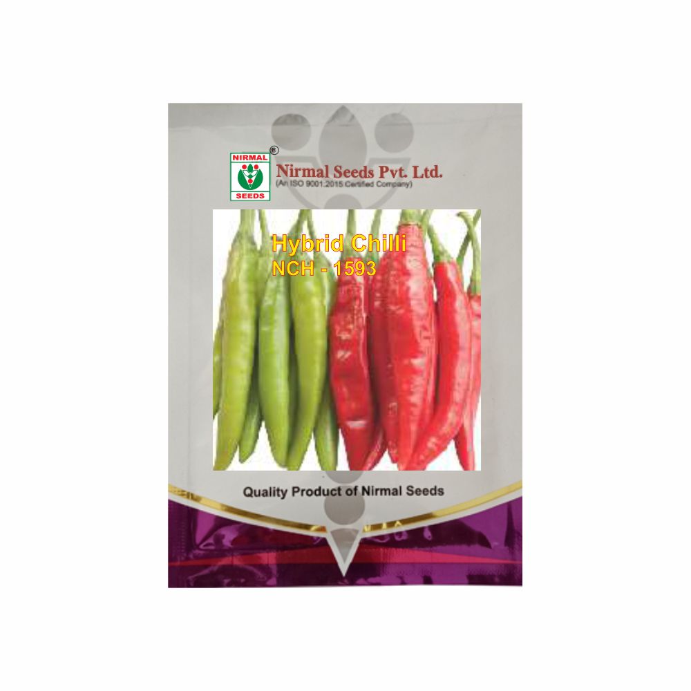 NIRMAL HY.CHILLI NCH-1593 (10 GM)