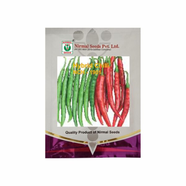 NIRMAL HY.CHILLI NCH-1901 (10 GM)