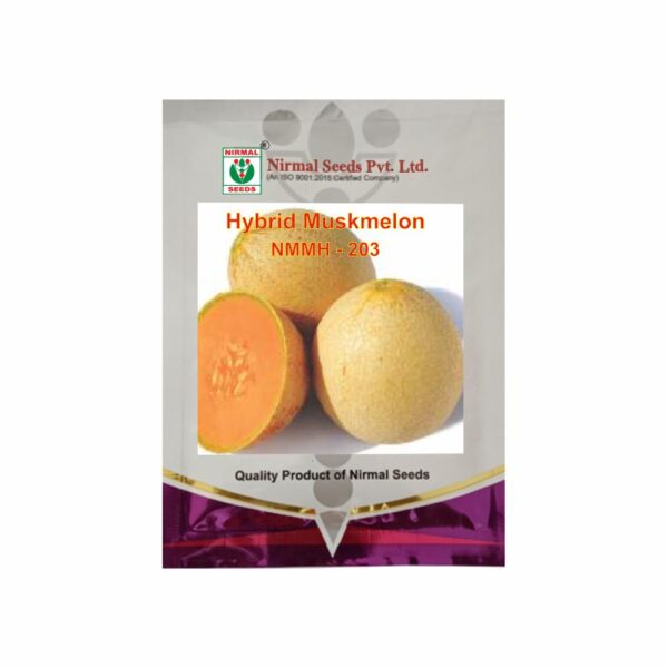 NIRMAL HY.MUSK MELON NMMH-203 (50 GM)
