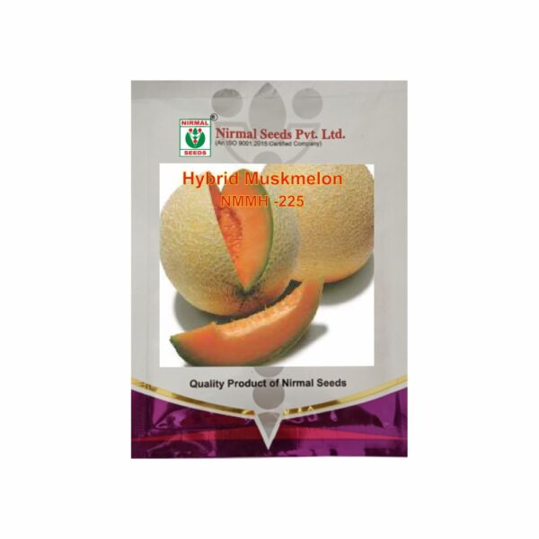 NIRMAL HY.MUSK MELON NMMH-225 (25 GM)