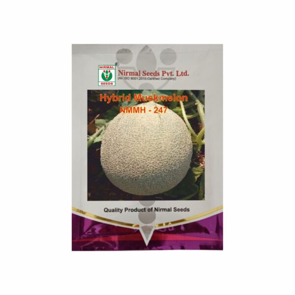 NIRMAL HY.MUSK MELON NMMH-247 (10 GM)