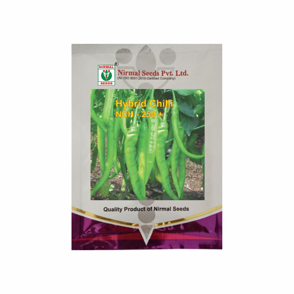 NIRMAL HY.CHILLI NCH-250+ (10 GM)