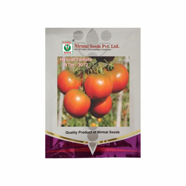 NIRMAL HY.TOMATO NTH-3072 (10 GM)