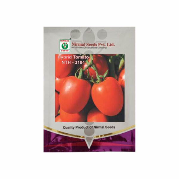 NIRMAL HY.TOMATO NTH-3104 (10 GM)