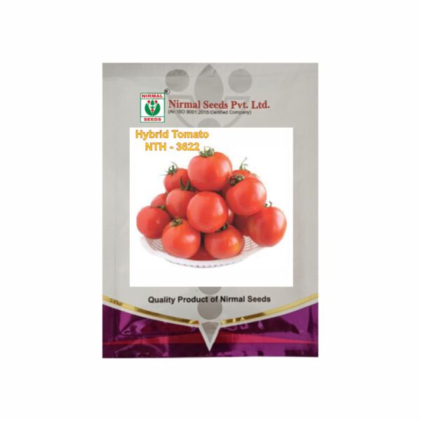 NIRMAL HY.TOMATO NTH-3622 (10 GM)