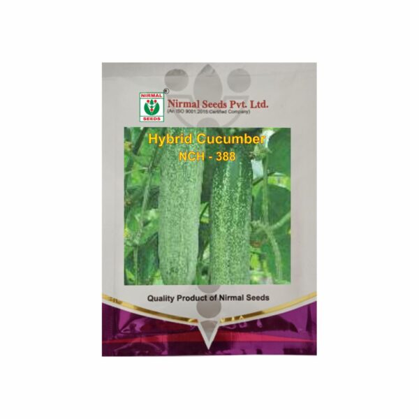 NIRMAL HY.CUCUMBER NCH-388 (10 GM)