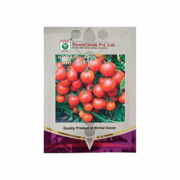 NIRMAL HY.TOMATO NTH-4520 (10 GM)