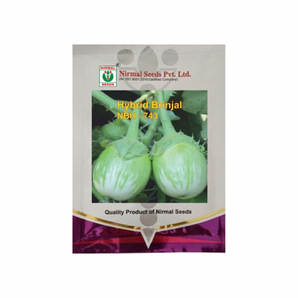 NIRMAL HY.BRINJAL NBH-743 (10 GM)