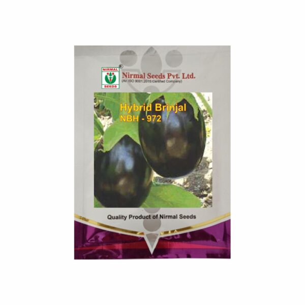 NIRMAL HY.BRINJAL NBH-972 (10 GM)