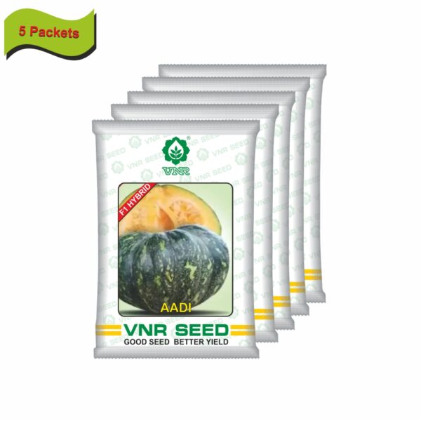 VNR Pumpkin hybrid aadi  (10 gm) (5 packets) - Image 2