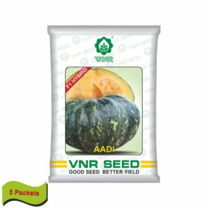 VNR Pumpkin hybrid aadi  (10 gm) (5 packets)