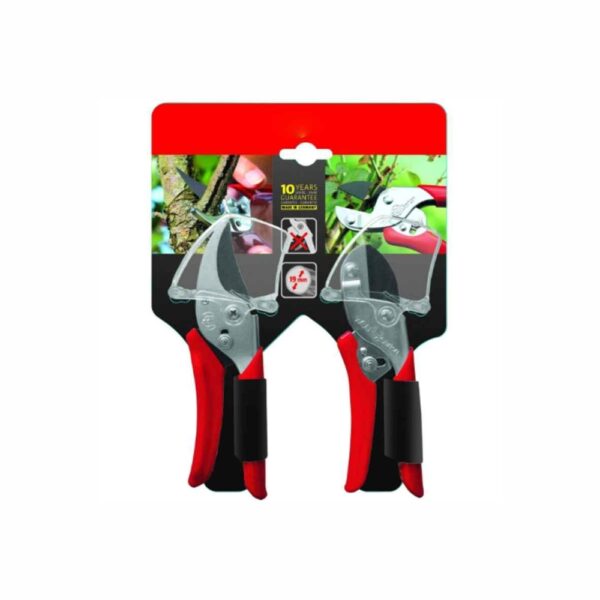 AGROTIS ACTION SET RR-EN/RS-EN