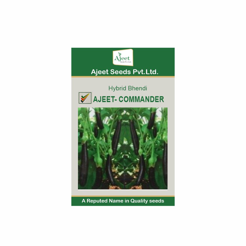 AJEET HYBRID BRINJAL COMMANDER (10 GM)