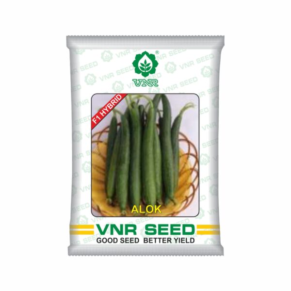 VNR Sponge Gourd Alok