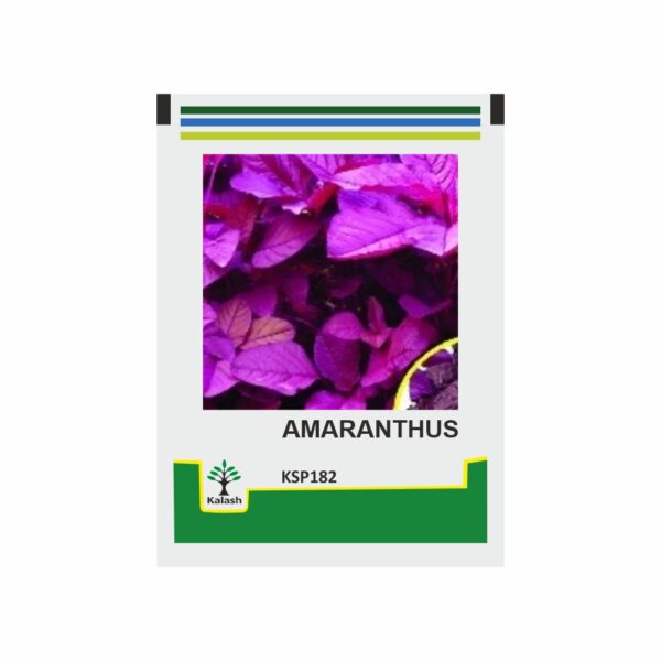 KALASH AMARANTHUS KSP 182 (500 GM)
