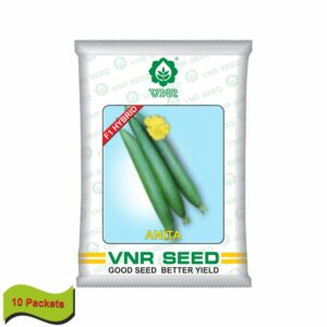 VNR Sponge Gourd Anita (10 GM)(10 packets)