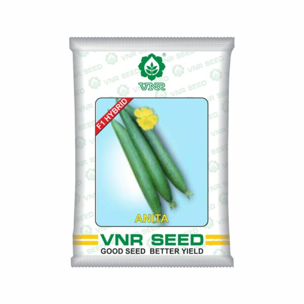 VNR Sponge Gourd Anita (50 GM)