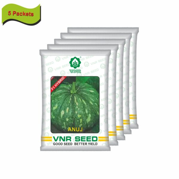 VNR Pumpkin hybrid anuj (10 gm) (5 packets) - Image 2