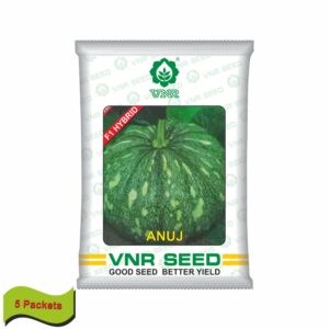 VNR Pumpkin hybrid anuj (10 gm) (5 packets)