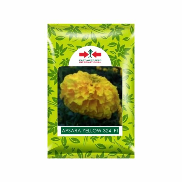 East West MARIGOLD APSARA YEIIOW 324 (50000 SEEDS)