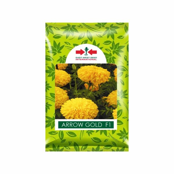 East West MARIGOLD ARROWGOLD (1000 SEEDS)