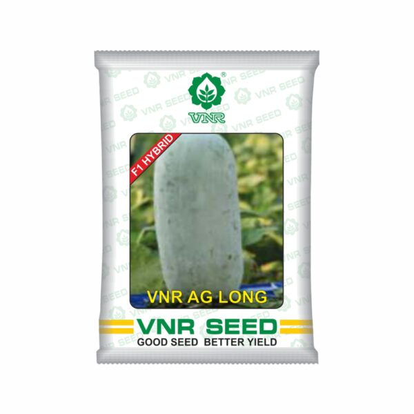 VNR F1 HYBRID Ash Gourd AG-LONG hybrid (50 GM)