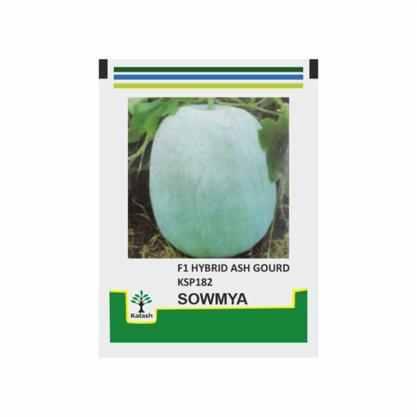 KALASH ASHGOURD SOWMYA (50 GM)