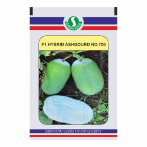 sungro ASHGOURD HYBRID NO.700  (50 Gm)