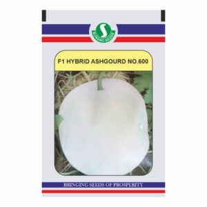 sungro ASHGOURD HYBRID NO.600 (10 Gm)