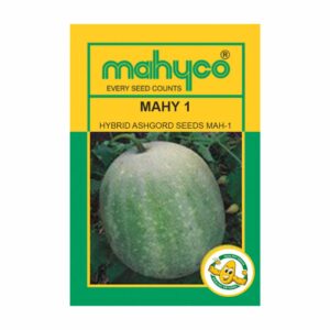 mahyco ASHGOURD HY.MAHY 1 (MAH-1)  50 GM
