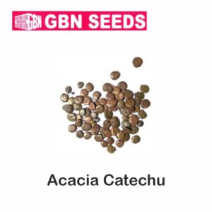 GBN acacia catechu(khair) seeds (1 KG)(pack of 10)