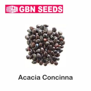 GBN Acacia Concinna(Shikakai) seeds (1 KG)(pack of 10)