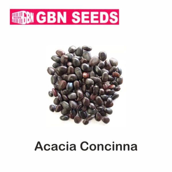 GBN Acacia Concinna(Shikakai) seeds (1 KG)(pack of 10)
