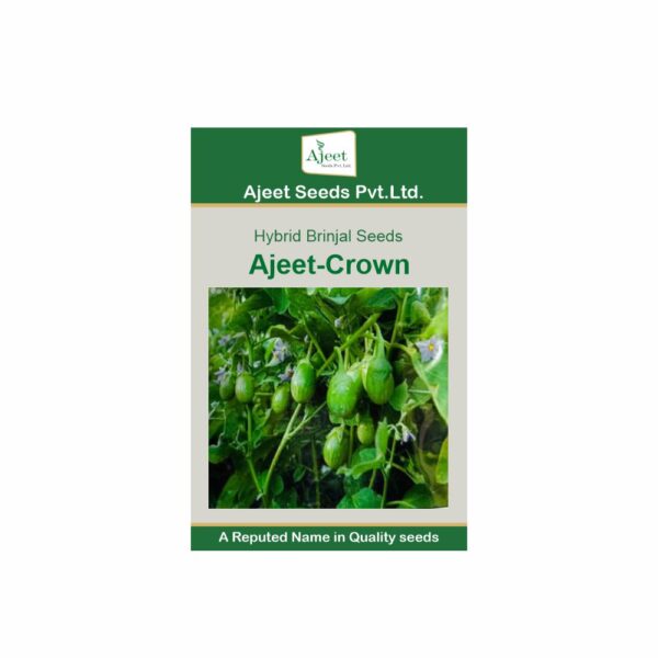 AJEET HYBRID BRINJAL CROWN (10 GM)