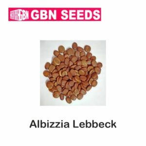 GBN albizzia labbeck (BLACK siris) seeds (1 KG)(pack of 10)