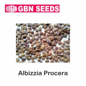 GBN albizzia procera (white siris) seeds (1 KG)(pack of 10)