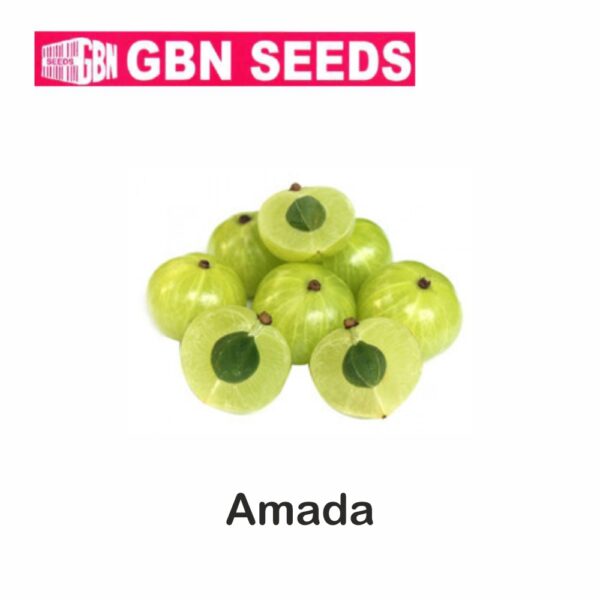 GBN amada seeds (1 KG)(pack of 10)