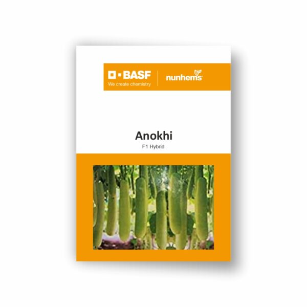 BASF Nunhems Bottle Gourd ANOKHI (500 Seeds)