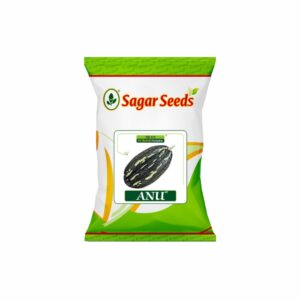 Sagar anu(oblong) F-1 Hybrid Pumpkin Seeds (50 gm)